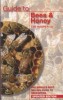 Guide to Bees & Honey